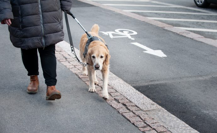 Ulla Jensen går på gatan med sin ledarhund Nisse.