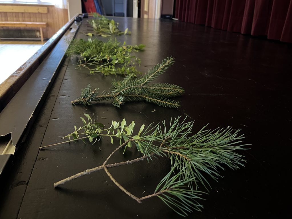 Olika växter är utplacerade på en scenkant.