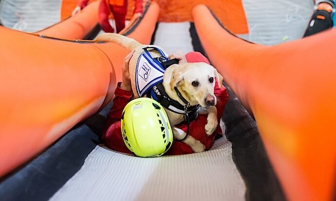 Ledarhund i samband med räddningsövning.